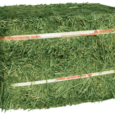 Timothy Hay Bale
