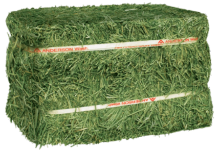 Timothy Hay Bale