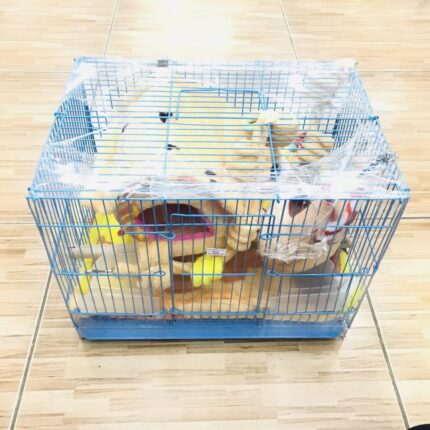 SOOS - Sugar Glider Cage BQ07 - กรงชูก้าร์ไกลเดอร์เช็ต 4 ชิ้นพร้อมอุปกรณ์ (49x33x31cm) (10555)