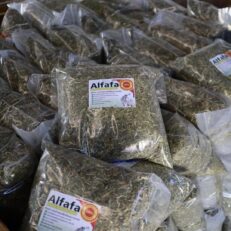 Alfalfa Chopped and Dusted - อัลฟาฟ่าสับ ร่อนฝุ่น 500g (11134)
