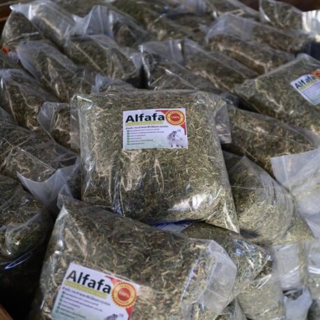 Alfalfa Chopped and Dusted - อัลฟาฟ่าสับ ร่อนฝุ่น 500g (11134)
