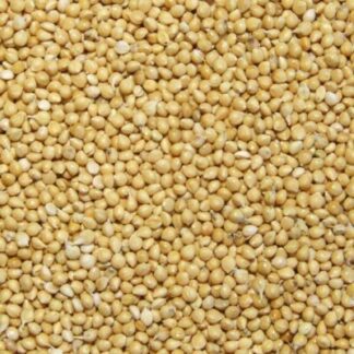 U.LEK White Millet 25kg (RPK) - มิลเล็ตขาว 25 กก. (10609)