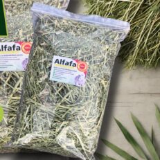 Alfalfa Grass Stem and Leaves - อัลฟาฟ่าเส้น ก้านใบ 500g (11140)