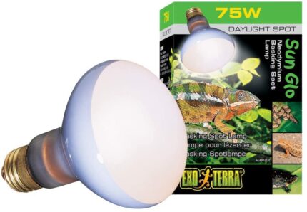 Exo Terra Daylight Basking Spot - หลอดไฟแสงสว่างและความร้อน 75w (15927)