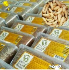 Jerry Wax Worms - หนอนน้ำผึ้ง หนอนแว๊กซ์ 1000 ซีซี (14159)