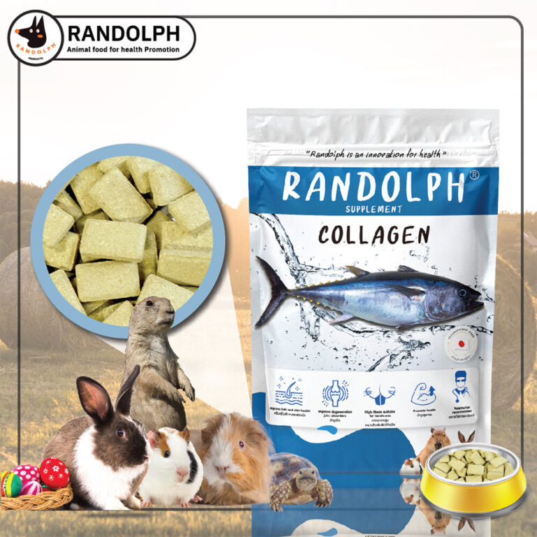 Randolph Supplement Collagen