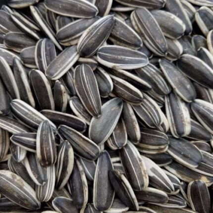 U.Lek Sunflower A 25kg - อาหารนก เมล็ดทานตะวันเอป้อม 25กก. (20618)