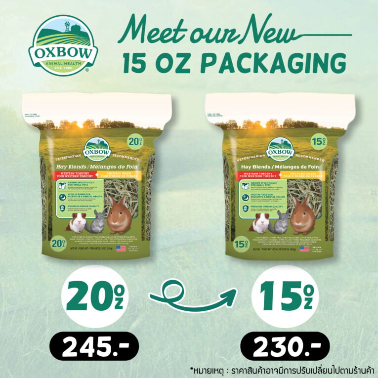 Hay Blend Change size-02(1)