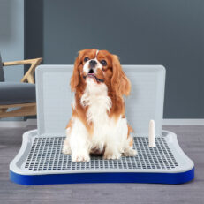 PETCHO Dog Training Toilet Tray - ถาดฝึกเข้าห้องน้ำสำหรับสุนัข (40x51x3.5cm) (65249)