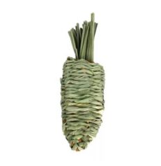 Patcharin Dried Carrots – แครอทหญ้าแห้งใหญ่ (17cm)(466428)