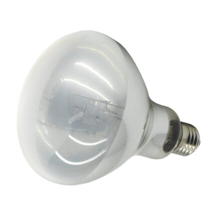 TBD Nomoy Pet Lamp Heating - หลอดไฟกลางวันให้ความร้อนและรังสี UVA ขนาด 100 วัตต์ (261237)