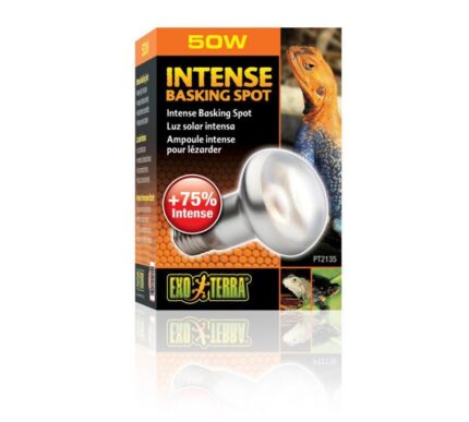 Exo Terra Intense Basking Spot - หลอดไฟให้ความร้อนสำหรับกลางวัน ยูวีเอ 50w (313621)