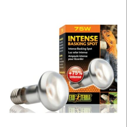 Exo Terra Intense Basking Spot - หลอดไฟให้ความร้อนสำหรับกลางวัน ยูวีเอ 75w (313626)