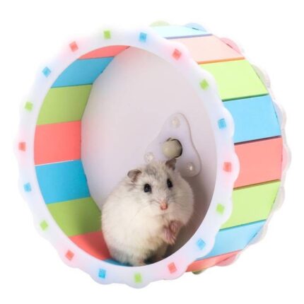 Zoog Hamster Running Wheel - วงล้อวิ่งสำหรับหนูแฮมเตอร์ 21cm (421706)