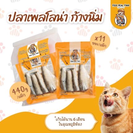 FEED REAL FOOD Steamed Pellona - ปลาเพลโลน่านึ่งก้างนิ่ม (1ซอง) 60g (397537)
