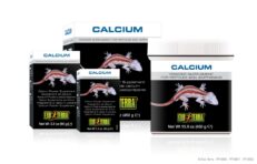 EXO TERRA Calcium Powder Supplement For Reptiles - อาหารเสริม แคลเซียมชนิดผงสำหรับสัตว์เลื้อยคลาน 90g (420784)