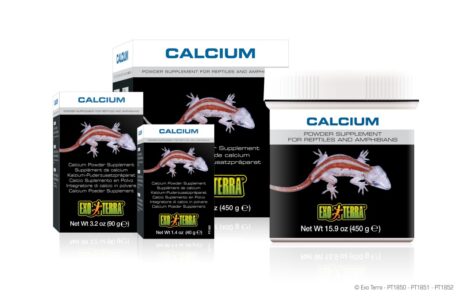 EXO TERRA Calcium Powder Supplement For Reptiles - อาหารเสริม แคลเซียมชนิดผงสำหรับสัตว์เลื้อยคลาน 40g (411318)