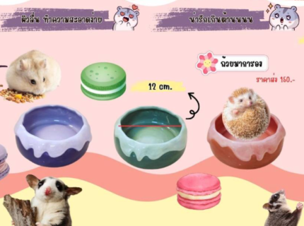 TBD Ceramic Macaron - เซรามิคแฮมสเตอร์รูปทรงมาการองปากกว้าง 12cm คละสี (433851)
