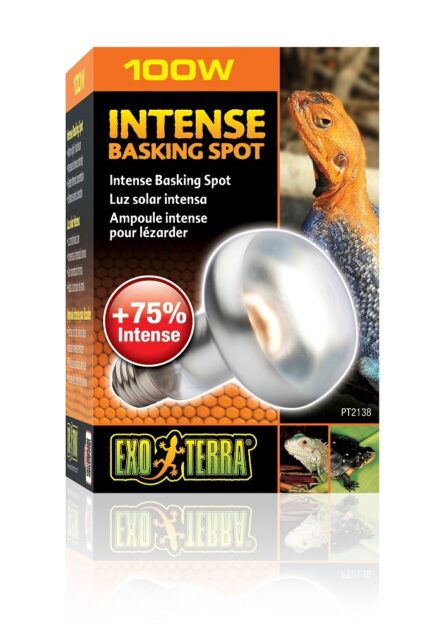 Exo Terra Intense Basking Spot UVA - หลอดไฟให้ความร้อนสำหรับกลางวัน 100w (443894)
