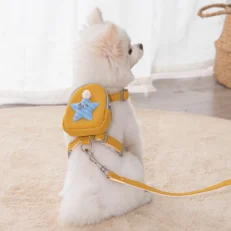 pet harness & leash set s