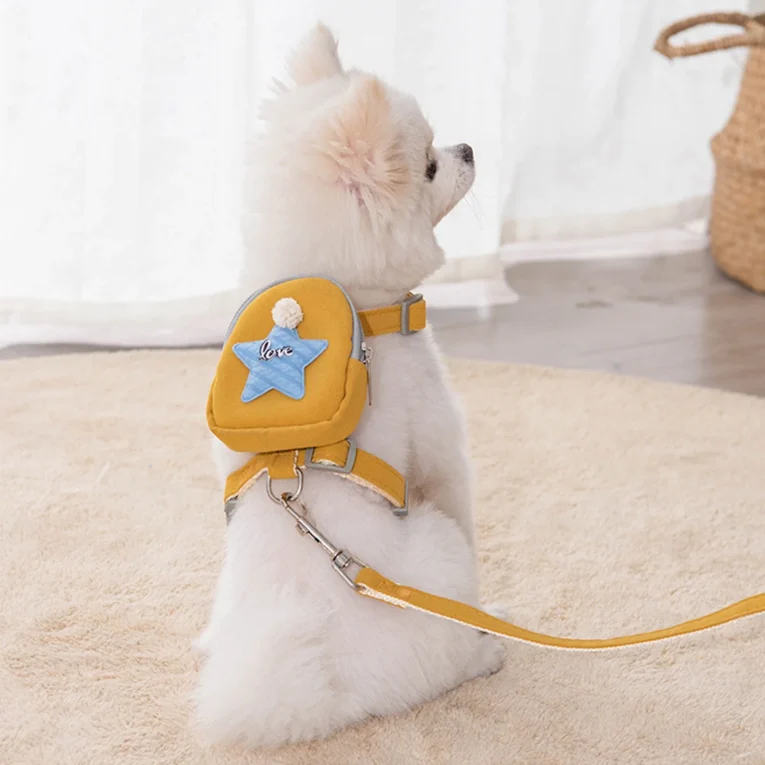 pet harness & leash set s