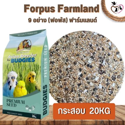Farmland Forpus