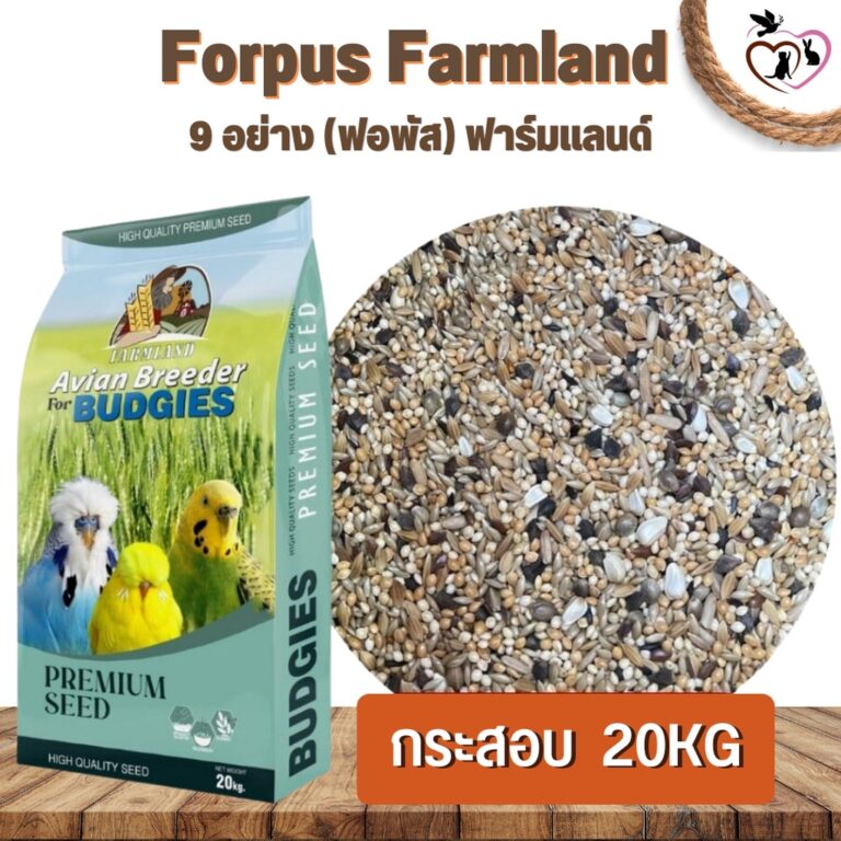 Farmland Forpus
