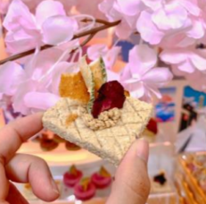 Hobbit's Dining Biscuit S - บิสกิต ไซซ์ S (1ชิ้น)(466167)