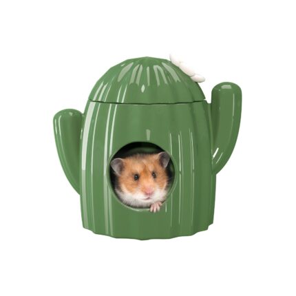 Bucatstate Cactus House For Hamster - บ้านเซรามิกสำหรับหนูแฮมสเตอร์ ธีมกระบองเพชร (15.5x14.5cm) (482038)