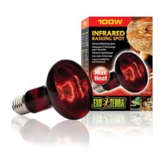 Exo Terra Infrared Basking Spot - หลอดไฟอินฟราเรด สำหรับให้ความร้อนในช่วงเวลากลางคืน ขนาด 100W (501286)