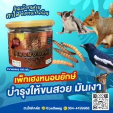 Pet Heng Dried Super Mealworms 100g  - หนอนยักษ์อบแห้งแบบกระปุก 100 กรัม (532155)