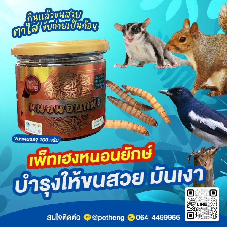 หนอนยักษ์อบแห้ง 532155
