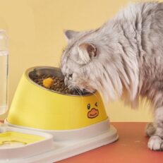 Pet Bowl - ชามใส่อาหารสแตนเลสสำหรับสัตว์เลี้ยง รุ่นยกเอียงรูปการ์ตูน (17x13cm) (531346)