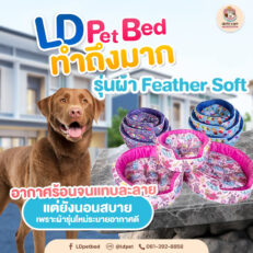 เบาะกลมผ้า FS สำหรับสัตว์เลี้ยง Size L (50x56x16cm)(536893)