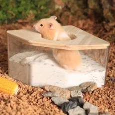 Hamster Bathroom - ห้องน้ำสำหรับหนูแฮมสเตอร์ แบบเหลี่ยม (16x11x9.5cm) (561184)