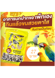 อาหารนกปากขอ นกแก้วรวม 568091