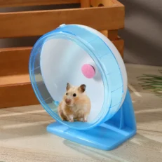 Hamster Running Wheel - วงล้อวิ่งออกกำลังกายสำหรับหนูแฮมสเตอร์ ฐานตั้งพลาสติก (14cm) (567447)