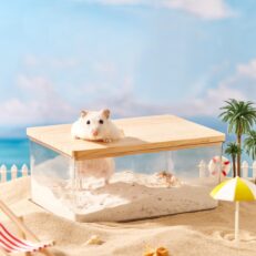 Hamster Bathroom - ห้องน้ำสำหรับหนูแฮมสเตอร์ (10x20.5x15.5cm) (561214)