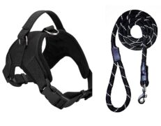 Harness & Leash Set XL - สายจูง + รัดอกสำหรับสัตว์เลี้ยงขนาดใหญ่ ความยาว 140 ซม. รอบอก 72 - 91 ซม. รอบคอ 60 - 70 ซม (588853)
