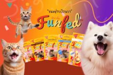 TBD Funfed Feeding Pill 20g - ขนมสำหรับช่วยป้อนยาสัตว์เลี้ยง 20 กรัม (582436)