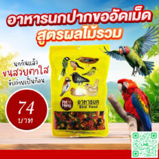 PRO Pet Heng Bird Food - อาหารนกปากขออัดเม็ด สูตรผลไม้รวม (584998)