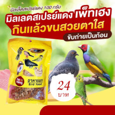 PRO Pet Heng Bird Food - อาหารนก มิลเล็ตสเปรย์แดง 100g (584981)