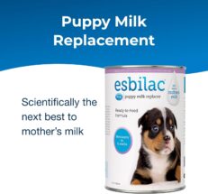 Esbilac Liquid Puppy Milk Replacer 11oz - นมพร้อมดื่มสำหรับลูกสุนัขแรกเกิด 325มล. (466864)